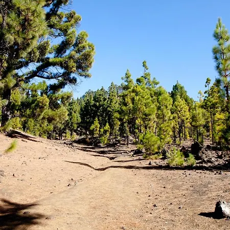 La Vista 酒店 吉亚德索拉